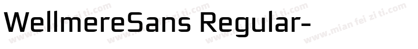 WellmereSans Regular字体转换